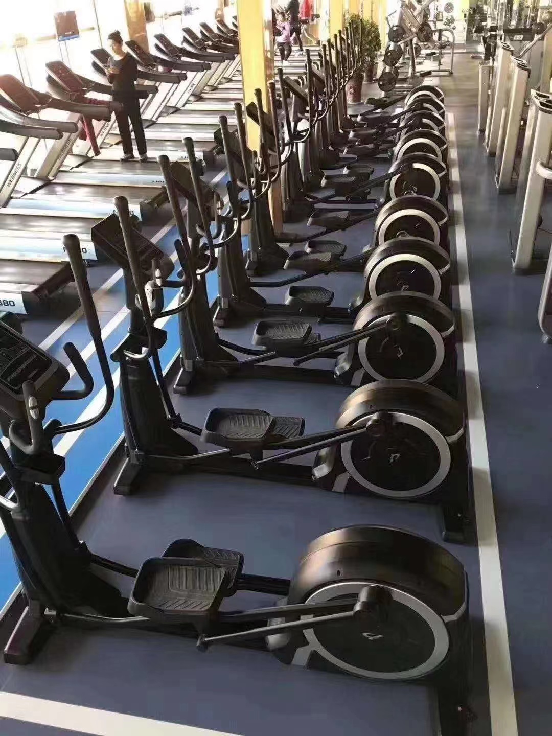 Home T Bar Row Commercial Plate Loaded Arms Back Workout Incline Level