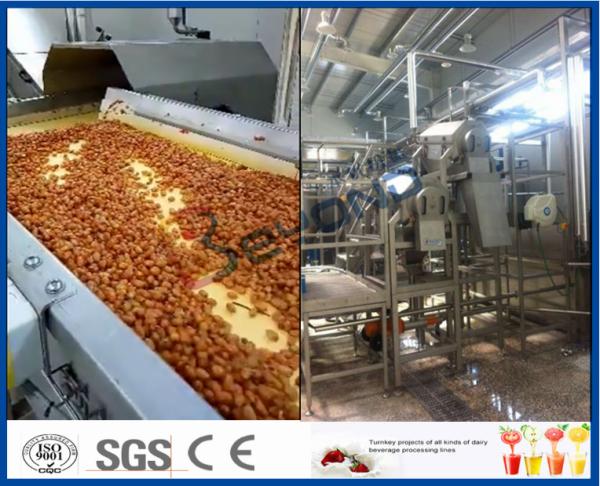 Quality Fruit Processing Plant Juice Making Machine Orange Juice Extractor With Washing / Pulping System for sale