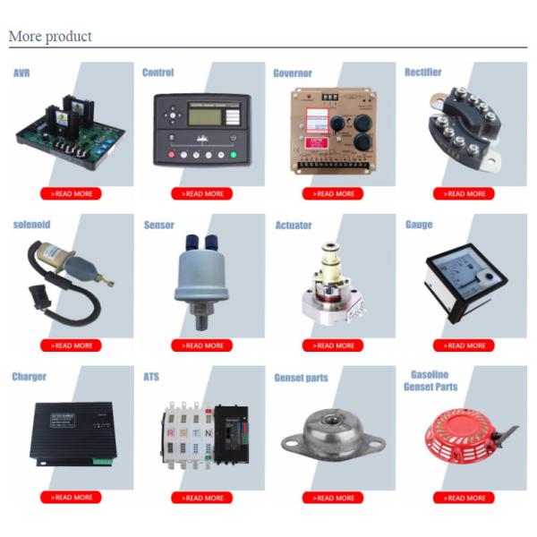 Diesel Electronic Engine Speed Controller