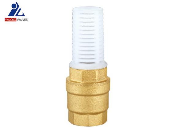 Quality ABS Plastic Brass Vertical Check Valve ISO 228 1 Inch Check Valve for sale