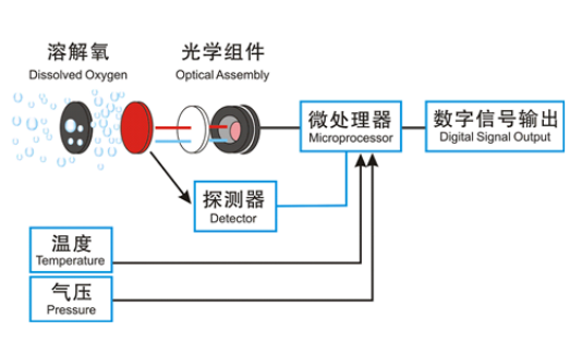 Dissolved oxygen sensor Principle