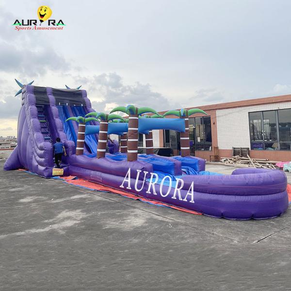 Quality Purple Inflatable Playground Slide For Schools And Day Cares for sale
