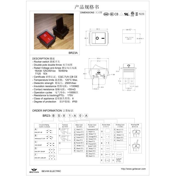 250V 6A Dual Rocker Switch