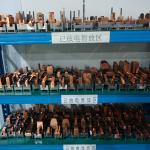 Pre-Placed Insert Injection Molding Toolings Manufacturing Non-Standard Part