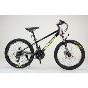 Steel Frame 20 Inch WANDA 20*2.125 Tyre Children Bicycle For Durable 21 Speeds MTB