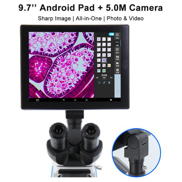1000X 5.0M Resolution 9.7" Portable Lcd Digital Microscope