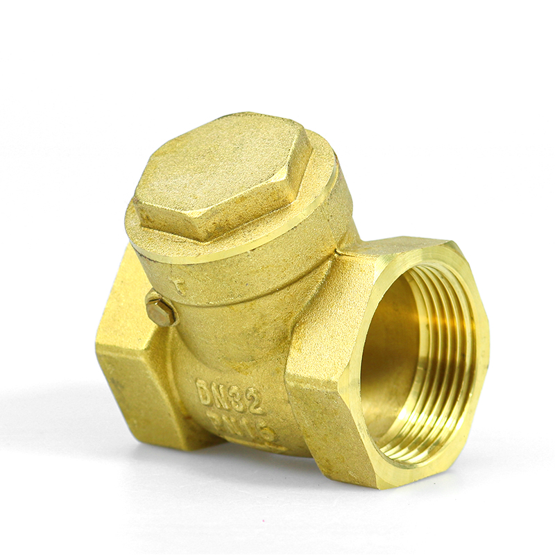 DN25 DN15-DN50 Non Return One Way Check Valve Port Size Customized