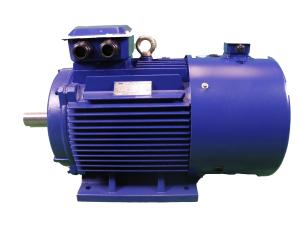 China 2P To 12P Variable Frequency Drive Motor High Efficiency wholesale