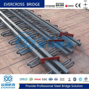 China Good Quality Modular Bridge Expansion Joint With Good Price wholesale