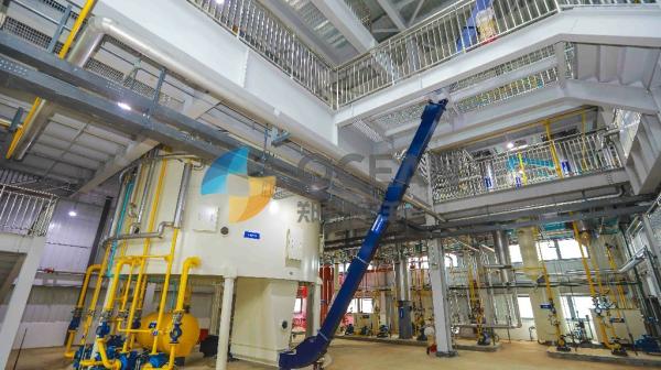 Quality Biodiesel Crude Palm Edible Oil Refining Equipment for sale