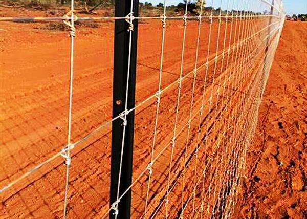 Quality Galvanized Grassland Wire Fence Cattle / Sheep / Field / Deer Farm Fence for sale