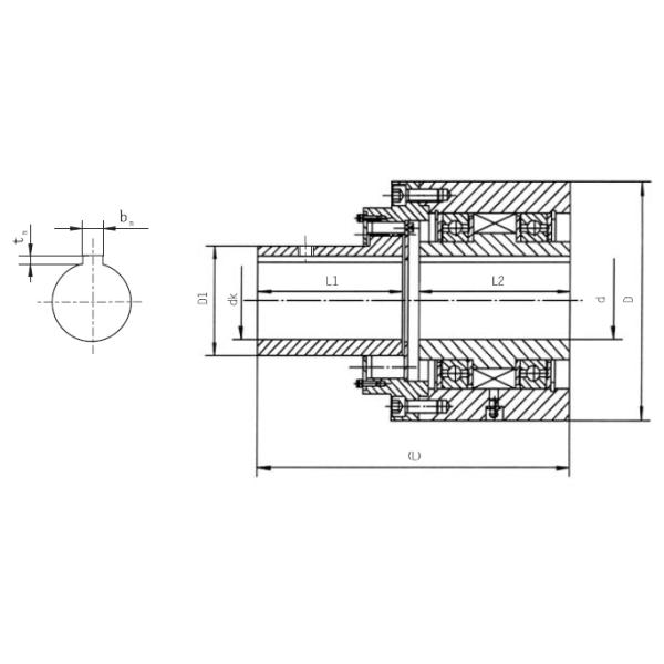 CHAOYUE Semi Coupling Non Contact One Way Overrunning Clutch