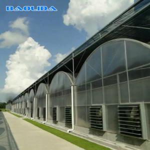 Large Polycarbonate Film Greenhouse / Multi Span Greenhouse Multi Functional