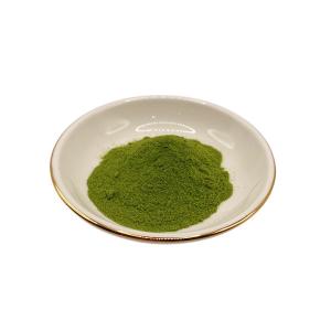 China Mannitol 1.5% Cytokinin 400 PPM Seaweed Extract PH 8-10 Green Powder for grass wholesale