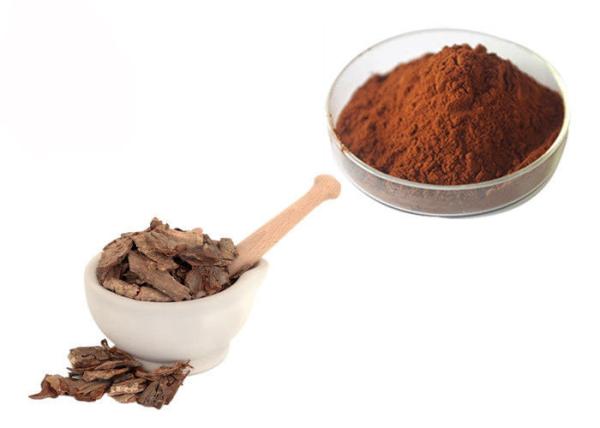 Quality Proanthocyanidins 95% Pine Bark Extract Powder for sale