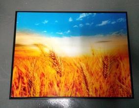 Quality Custom Canvas Painting Precious Magnetic Photo Frame Set For Photo Frame Solutios for sale