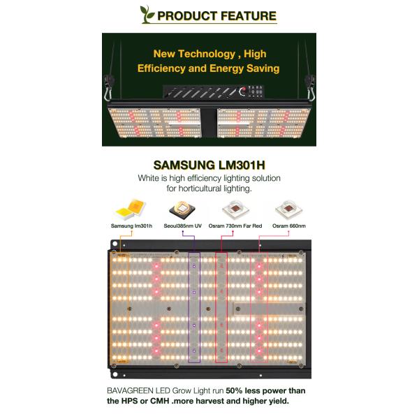 2x4 SAMSUNG LM301H Quantum Board