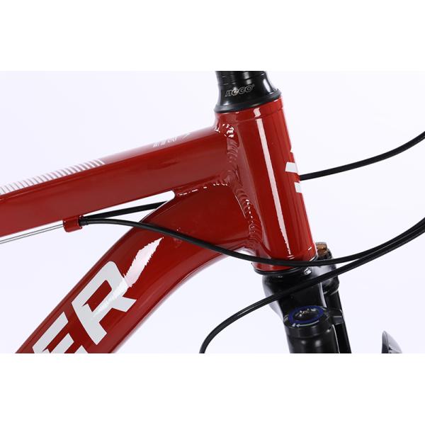 Customizable 29 Inch Aluminium Alloy XC Mountain Bike 9 10 11 12 Speed Bicicleta Bisiklet OEM Mountainbike Cycle MTB Bicycle