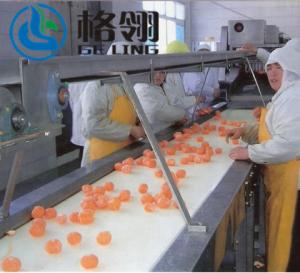 China Automatic Control Orange Juice Complete Processing Line Big Capacity wholesale
