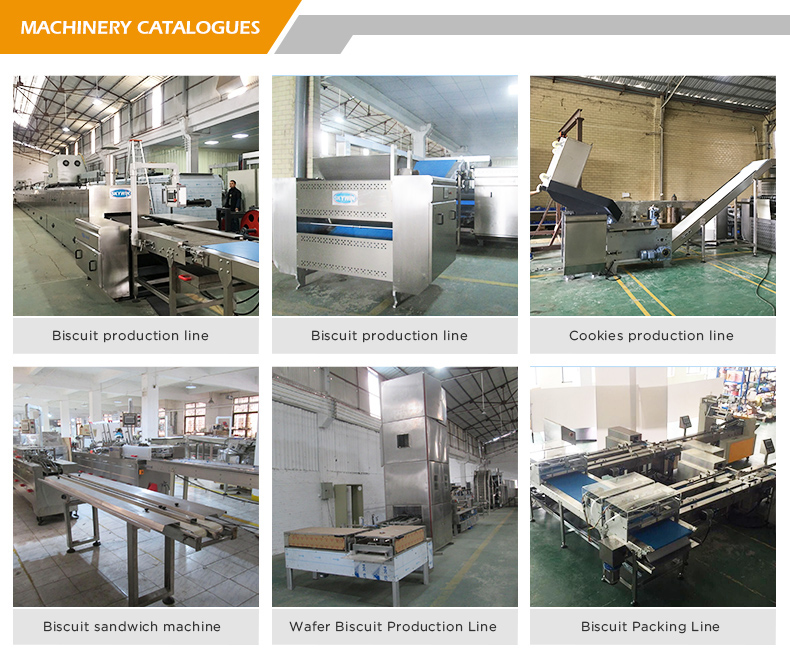 Hello Panda Design Hard And Soft Biscuit Making Machine With Tunnel Oven