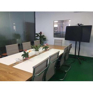 Shenzhen Huali Speicial Display Technology Co., Ltd.