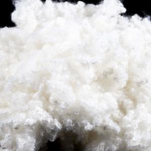 15D 100% PET Materials White Polyester Fiber Staple