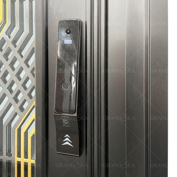 France Style Advanced Stainless Steel Door Good Quality Superior a Class Locksystem Israel Security Door