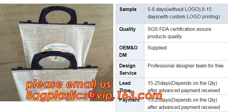 Customized logo printing insulated food delivery cooler bag,wholesale waterproof food delivery thermal bags bagplastics