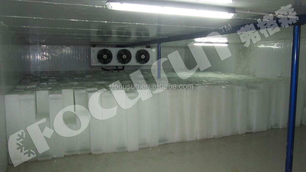 40ft Container Design Industrial Block Ice Making Machine for Maximum Ice Production