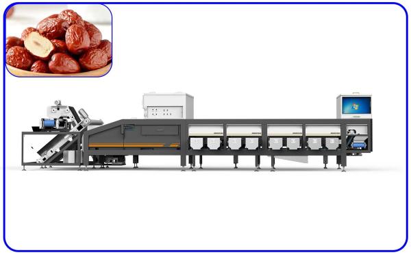 Quality 16 Channel Agricultural Product Sorter 2 T/H Automatic For Red Dates for sale
