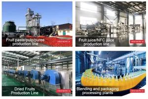 China Fully Automatic Lemon Juice  Processing Machine Orange Juice Production Machinery on sale