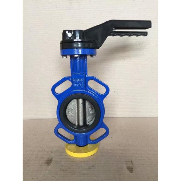 dual plate check valves