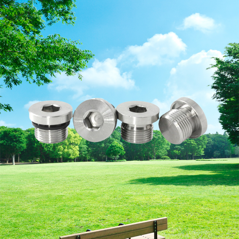 10mm Titanium Pipe Plug Stainless Steel Inox Polished Hex Socket Screws Din908 Your Go-To Product for Easy Installations