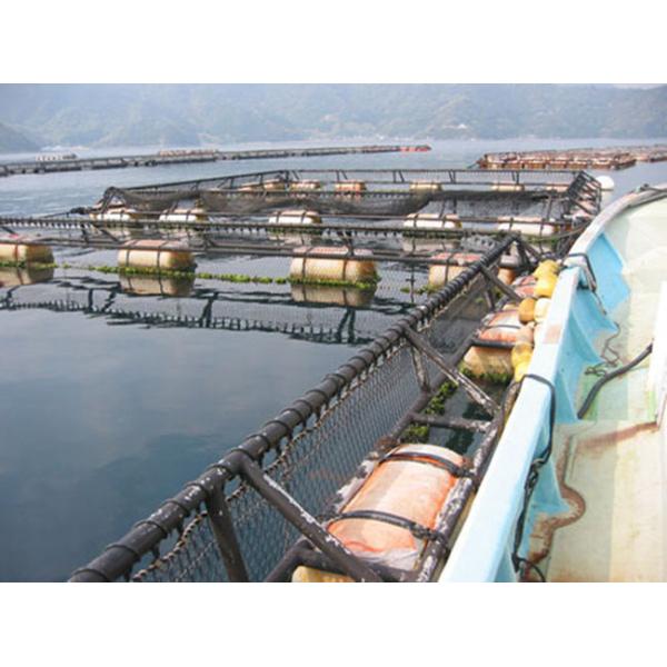 Hexagonal 2.5mm Gabion Mesh Baskets 50x60mm Woven Fish Cage Netting