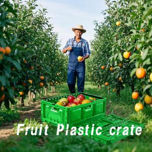 Collapsible Crate Storage Mesh Plastic Containers Moving Boxes Stackale Fold