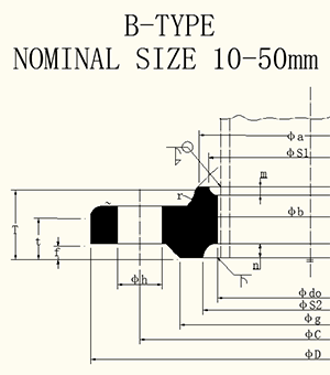 ANSI B16.5 And ANSI B 16.47 With Neck Flange