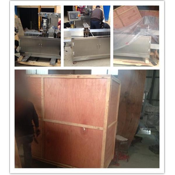 GMP Tropical Blister Packing Machine , High Sealing Blister Packaging Machine