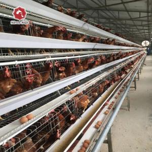 China Sturdy Q235A 4 Tier A Type Egg Layer Chicken Cage For Poultry Farm wholesale