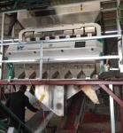 Intelligent Color Sorter CCD Camera Color Sorter Raisin Color Sorting Machine