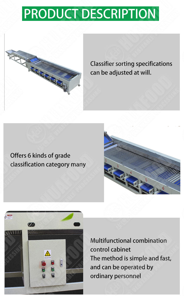 Carrot Onion Potato Grading Machine Fruit And Vegetable Sorting Machine