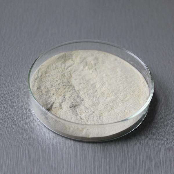 Quality Nature Made Bromelain 2400GDU For Protein Feed And Medicine Customizing Enzyme Activity Specifications for sale