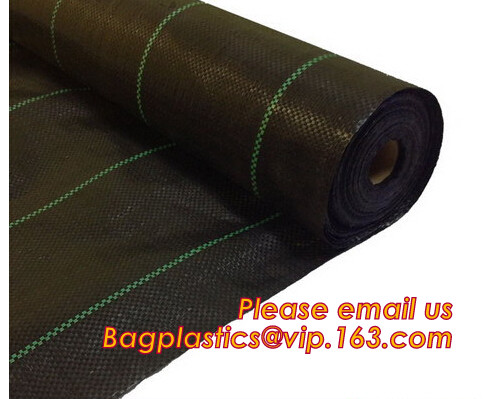 HOTICULTURAL MULCH FILM,AGRICULTURAL PE FILM,MARKET GARDENERS CLOCHE FILM,PE FILM FOR CORN,PLASTIC FILM COVER,TOMATO COV