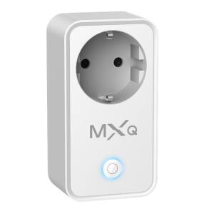 China Standard Grounding 10A EU Smart Plug For WiFi Universal Remote Control wholesale