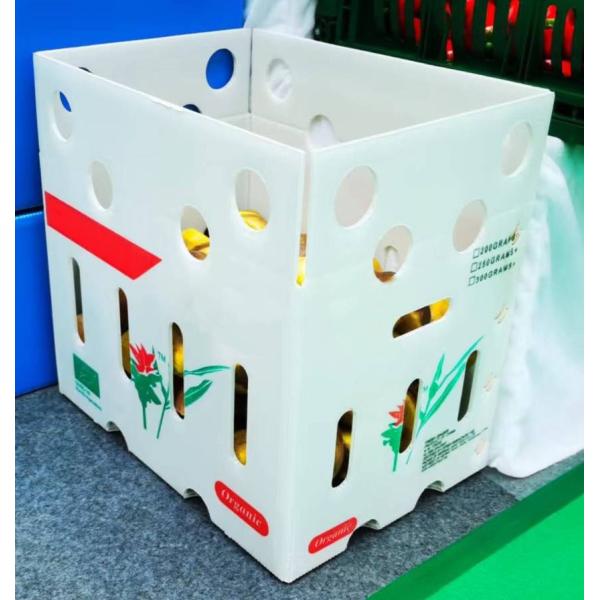 Reusable Vegetable Packaging Boxes Foldable Corrugated Sheet Box Customized