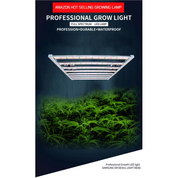 IP65 CE 800 Watt Hydroponic LED Grow Lights