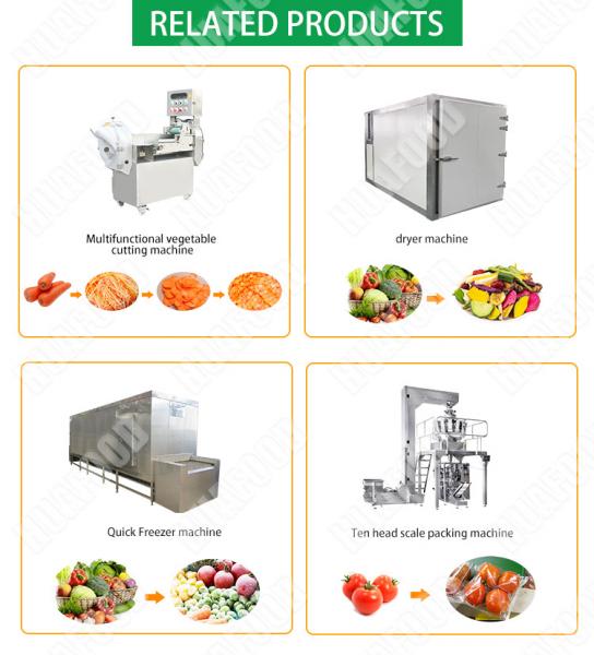 1000kg/hr Industrial Full Automatic IQF Frozen Green Peas Processing Machine Turkey Line Factory Price for Sales