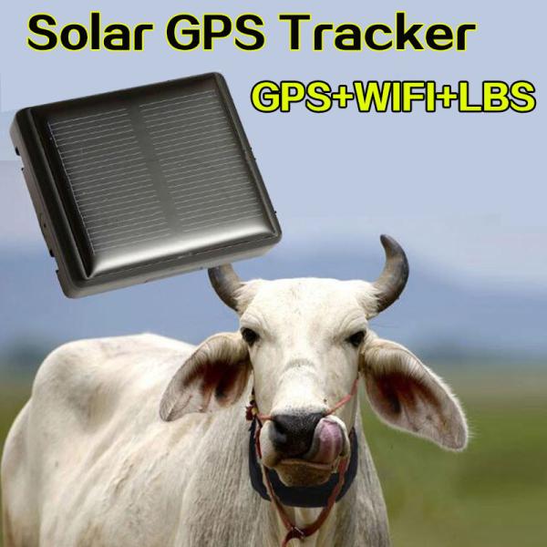 Quality Mini Solar Animal Gps Tracker Gps Tracking Device Long Battery Life Sim Card for sale