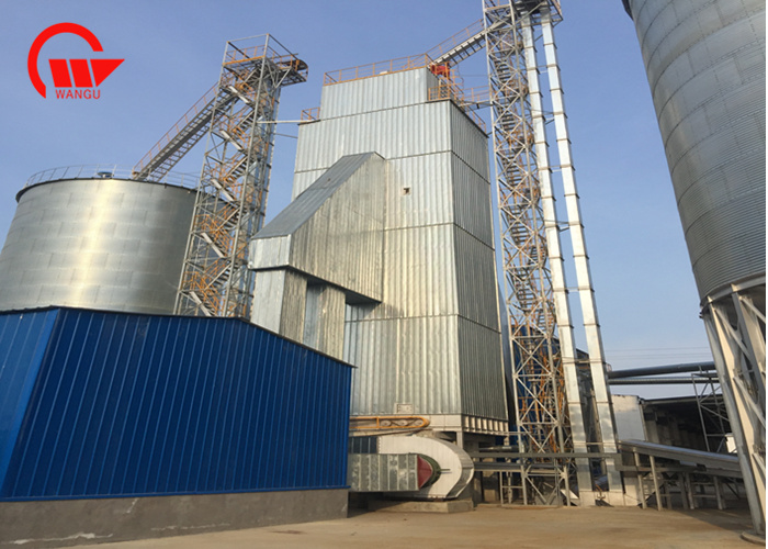 Transform Your Rice Production with Wangu Machinery s Intelligent Paddy Dryer Machine