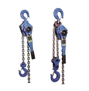 China Chain Type Handle Hoist Chain Pulley Block For Tower Erection wholesale
