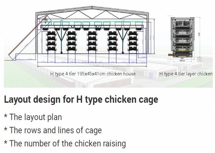 High Capacity Poultry Breeding Cages A Frame Layer Cages Easy Maintain
